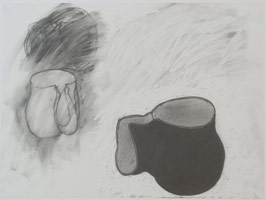 Peter Shelton / 
twopockets, 2011 / 
graphite on vellum / 
18 x 24 in. (45.7 x 61 cm) 