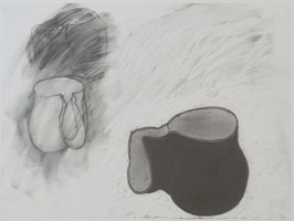 Peter Shelton / 
twopockets, 2011 / 
graphite on vellum / 
18 x 24 in. (45.7 x 61 cm) 