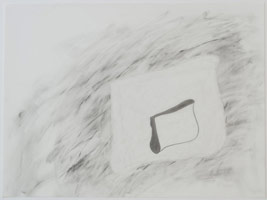 whiteblackslot, 2011 / 
graphite on vellum / 
18 x 24 in. (45.7 x 61 cm)