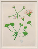 Eduardo Sarabia / 
Selfish Gene (Diamond Flower), 2007 / 
gouache on paper / 
Paper: 24 x 18 in. (61 x 45.7 cm) / 
Framed: 27 1/4 x 21 3/8 in. (69.2 x 54.3 cm) / 
Private collection 
