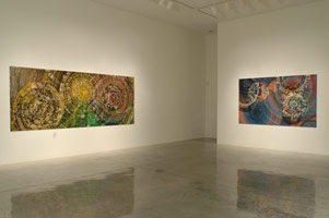 Installation photography / 
Rogue Wave '07 / 
12 Artists from Los Angeles