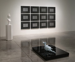 Installation photography / 
Rogue Wave '09: / 10 Artists from Los Angeles