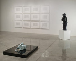 Installation photography / 
Rogue Wave '09: / 10 Artists from Los Angeles