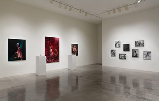 Installation photography / 
Rogue Wave '13  / 
15 artists from Los Angeles