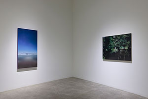 Installation photography / 
Rebecca Campbell: Infinite Density, Infinite Light