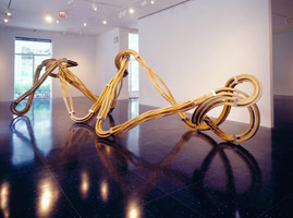 Richard Deacon, Dead Leg, 29 April - 18 July 2009, Arts Club of Chicago