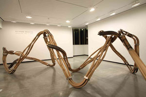 Installation photography, Richard Deacon, Portland Art Museum, 26 January - 1 June 2008 / 
exhibition space 30 x 32 ft (9.14 x 9.75 m) 