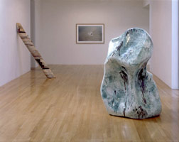 Installation photography / 
Richard Deacon: Beyond the Clouds