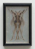 Robert Heinecken / 
Venus Mirrored, 1968 / 
photographic film, mirror, Plexiglas, wood frame / 
Framed Dimensions: 11 x 7 1/2 x 2 in. (27.9 x 19.1 x 5.1 cm)