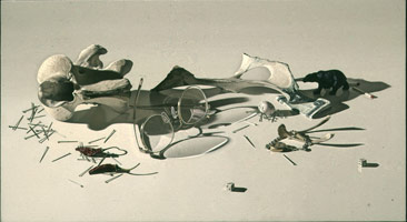 Sandra Mendelsohn Rubin / 
Bones, Glasses & More, 1995-96 / 
oil on linen / 
11 x 20 in. (27.9 x 50.8 cm) / 
Private collection 