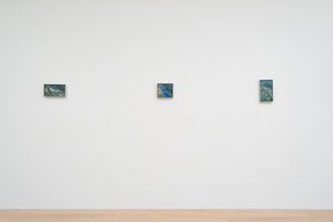 Installation photography / 
Sandra Mendelsohn Rubin: a common thread