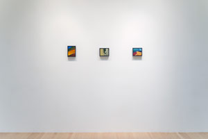 Installation photography / 
Sandra Mendelsohn Rubin: a common thread