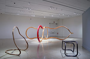 Richard Deacon: What You See Is What You Get, The San Diego Museum of Art, CA, 25 Mar - 4 Sep 2017