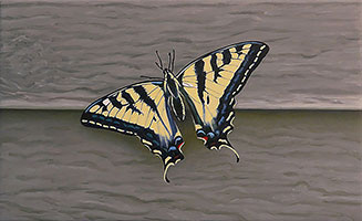 Sandra Mendelsohn Rubin / 
Swallowtail, 2019 / 
oil on polyester / 
5 1/2 x 9 in. (14 x 22.9 cm)