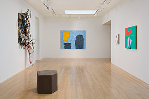 Installation photography, Shaping Color