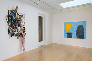 Installation photography, Shaping Color