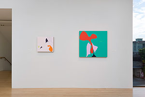 Installation photography, Shaping Color