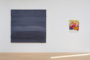 Installation photography, Shaping Color