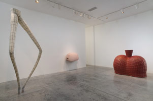 Installation photography / Peter Shelton: eyehand: Selected sculpture from 1975 - 2011 / 
19 November - 30 December 2011