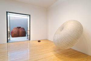 Installation photography / Peter Shelton: eyehand: Selected sculpture from 1975 - 2011 / 
19 November - 30 December 2011