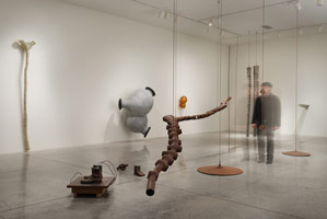 Installation photography / 
Peter Shelton: eyehand
