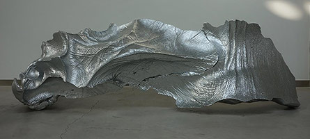 Sui Jianguo in Beyond Boundaries