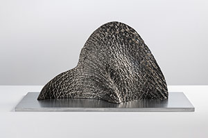 Sui Jianguo / 
Planting Trace -- Island 9, 2018 / 
galvanized photosensitive resin 3D printing / 
13 1/2 x 22 x 7 1/2 in. (34.3 x 55.9 x 19.1 cm)