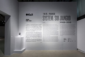 Installation photography, Systems: Sui Jianguo 2008-2018 