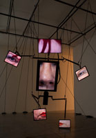 Terry Allen / 
MOMO Lo Mismo /   
mixed media /   
dimensions variable