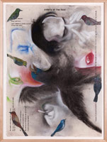 Terry Allen / 
Momo Chronicle IV: Rodez, Volver; Events of the Face, 2009 / 
      gouache, pastel, color pencil, graphite,  / 
      press type, spackle, collage elements / 
      56 1/2 x 46 1/2 in. (143.5 x 118.1 cm)