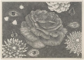 Tom Wudl / 
Boundless Oceans of Concentrations, 2009 / 
      graphite on paper / 
      paper: 9 3/8 x 13 in. (23.8 x 33 cm); / 
      framed: 16 x 19 3/8 in. (40.6 x 49.2 cm) / 
      Private collection