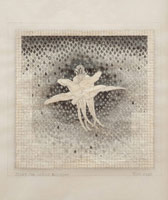 Tom Wudl / 
Universal Virtue, 2010 / 
      pencil and silver leaf collage on vellum paper / 
      image: 4 x 4 in. (10.2 x 10.2 cm)  / 
      sheet: 12 1/2 x 9 1/2 in. (31.8 x 24.1 cm) 