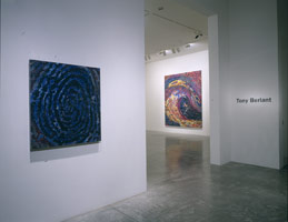 Installation photography / 
Tony Berlant: Extended Ecstacy