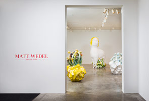 Installation photography / Matt Wedel: Sheep's head