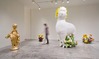 Installation photography / Matt Wedel: Sheep's head