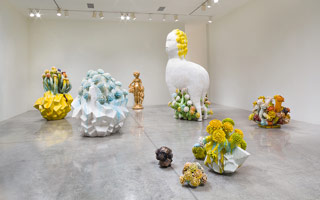 Installation photography / Matt Wedel: Sheep's head