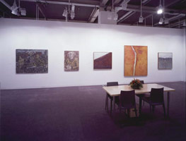 Installation photography, Art 35 Basel, 16 - 21 June 2004