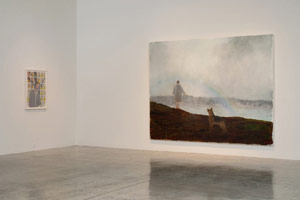 Installation photography, Enrique Martínez Celaya: Daybreak