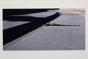 Charlie White / 
Lower Arroyo Seco, 1999 / 
Light jet chromogenic print mounted on plexiglass / 
48 x 96 in. (121.9 x 243.8 cm) 