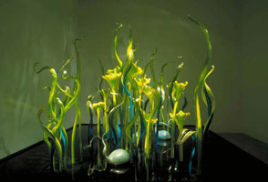 Mille Fiori V, 2004 / 
blown glass / 
90 x 145 x 145 in (228.6 x 368.3 x 368.3 cm) / 
 / 
Photography by Teresa N. Rishel