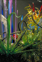 Mille Fiori, 2004 / 
blown glass / 
9 x 16 x 40 ft (2.7 x 4.9 x 12.2 m) / 
 / 
Photography by Terry Rishel