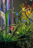 Mille Fiori, 2004 / 
blown glass / 
9 x 16 x 40 ft (2.7 x 4.9 x 12.2 m) / 
 / 
Photography by Terry Rishel