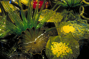 Mille Fiori, 2004 / 
blown glass / 
9 x 16 x 40 ft (2.7 x 4.9 x 12.2 m) / 
 / 
Photography by Terry Rishel