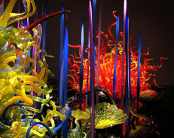 Mille Fiori, 2004 / 
blown glass / 
9 x 16 x 40 ft (2.7 x 4.9 x 12.2 m) / 
 / 
Photography by Tom Vinetz
