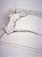 David Hockney  / 
Boodgie, 1993 / 
crayon on paper / 
30 1/4 x 22 1/2 in. (76.835 x 57.15 cm) / 
Private collection