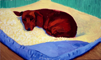 David Hockney  / 
Dog Painting 17, 1995 / 
oil on canvas / 
13 x 21 3/4 in. (33 x 55.25 cm) / 
Private collection