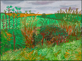 David Hockney  / 
Hedgerow near Kilham, October 2005, 2005 / 
oil on canvas / 
Canvas: 36 x 48 in. (91.4 x 121.9 cm) / 
Framed: 36 3/4 x 48 3/4 in. (93.3 x 123.8 cm) / 
Private collection