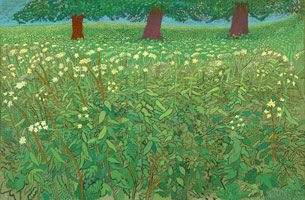 David Hockney  / 
Queen Anne's Lace Near Kilham, 2010 - 2011 / 
oil on canvas / 
67 1/2 x 102 1/4 in. (171.5 x 259.7 cm) / 
Private collection