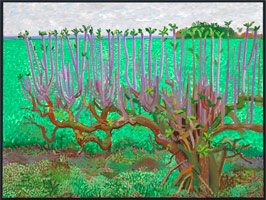 David Hockney  / 
Looking East, 2006 / 
oil on canvas / 
Canvas: 36 x 48 in. (91.4 x 121.9 cm) / 
Framed: 36 3/4 x 48 3/4 in. (93.3 x 123.8 cm) / 
Private collection 