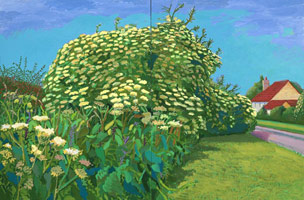 David Hockney  / 
Elderflower Blossom, Kilham, July, 2006 / 
oil on 2 canvases / 
Overall: 48 x 72 in. (121.9 x 182.9 cm) / 
Framed: 49 x 73 in. (124.5 x 185.4 cm) / 
Private collection 